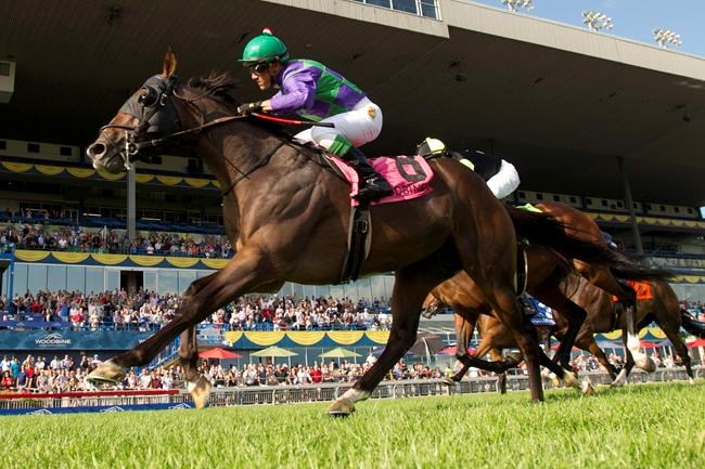 Luis Contreras, Mark Casse to carry Canadian hopes at Kentucky Derby | iNFOnews.ca