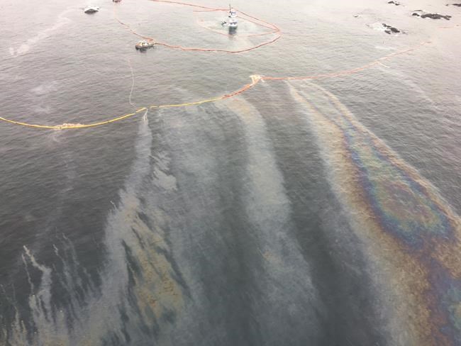 Fuel spill off Great Bear Rainforest offers few answers one year later: nation | iNFOnews.ca