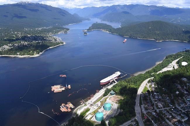 NEB sets Trans Mountain hearings schedule to meet February deadline | iNFOnews.ca CP253498601