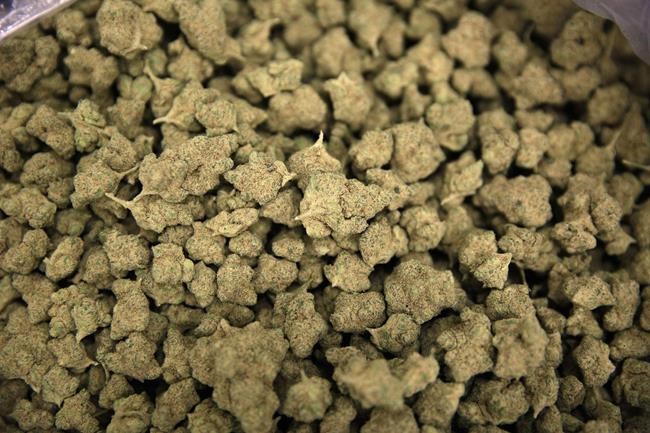 Saskatchewan First Nation files claim in court over cannabis dispensary | iNFOnews.ca