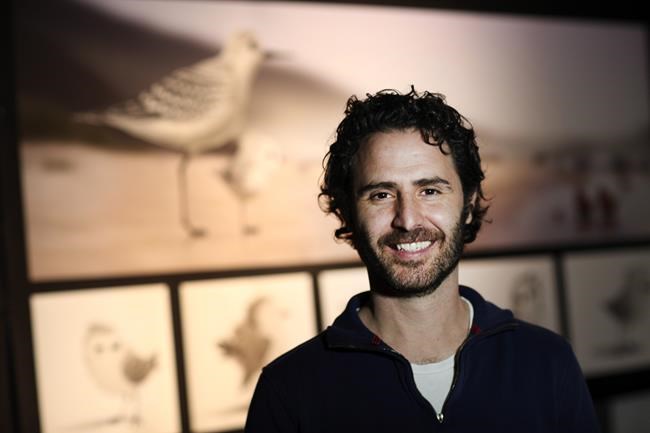 Canadian animator Alan Barillaro makes splash with Oscar-nominated debut 'Piper' | iNFOnews.ca Canadian animator Alan Barillaro makes splash with Oscar-nominated debut 'Piper' | iNFOnews.ca