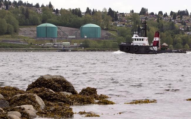 National Energy Board says Trans Mountain meets conditions for B.C. terminal | iNFOnews.ca