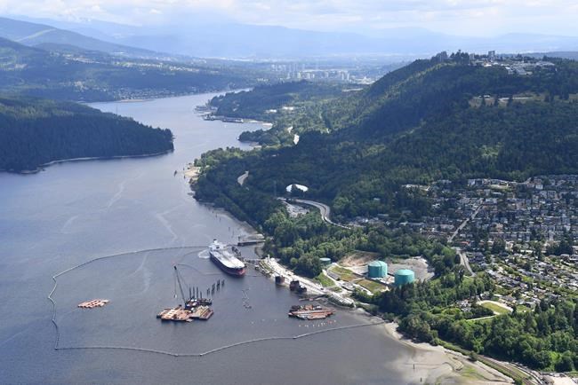 Conservationists file legal challenge to Trans Mountain reapproval over whales | iNFOnews.ca