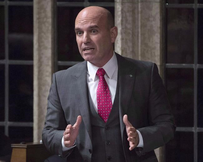 MPs need to consult women, social media companies about online behaviour: Cullen | iNFOnews.ca MPs need to consult women, social media companies about online behaviour: Cullen | iNFOnews.ca