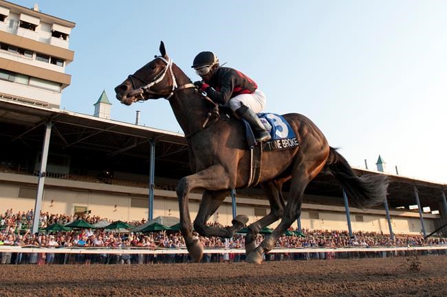 Tone Broke comes from third to capture Prince of Wales Stakes race | iNFOnews.ca