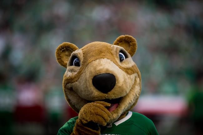 Saskatchewan Roughriders mascot Gainer the Gopher in hot water once again | iNFOnews.ca Saskatchewan Roughriders mascot Gainer the Gopher in hot water once again | iNFOnews.ca