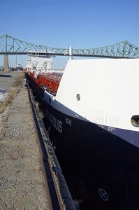 Plant breeding should boost grain crops, test transportation network: CWB | iNFOnews.ca