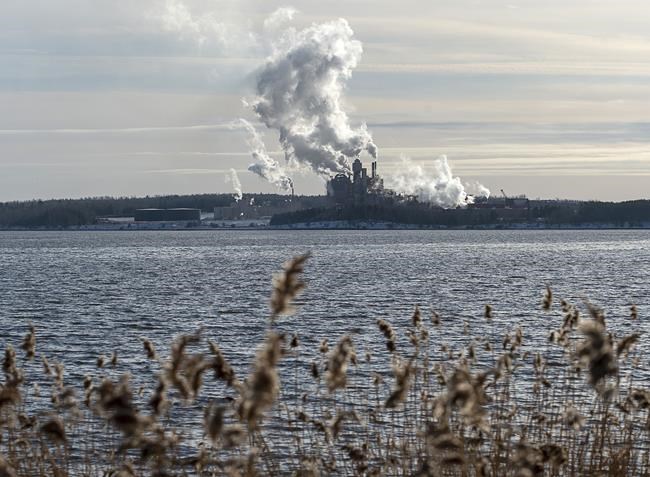 Northern Pulp workers finish final shifts as plant put in 'hibernation' | iNFOnews.ca