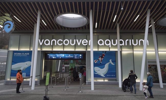 Vancouver Aquarium drops lawsuit against creator of critical documentary | iNFOnews.ca CP2039825856