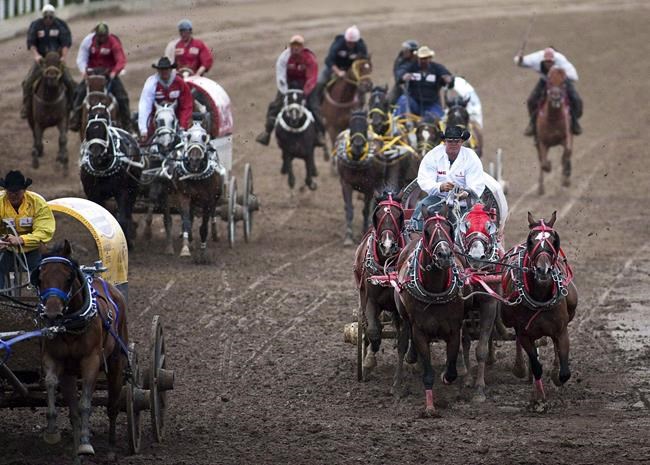 'Baywatch' star Pamela Anderson calls on Alberta premier to end chuckwagon races | iNFOnews.ca