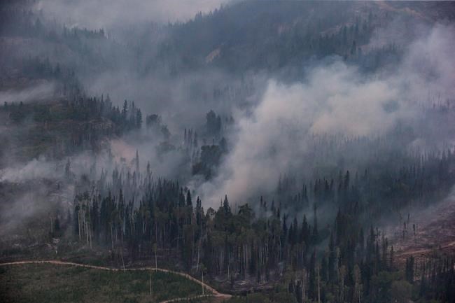 Forest fires, pests pose threat to forestry sector growth, federal report says | iNFOnews.ca Forest fires, pests pose threat to forestry sector growth, federal report says | iNFOnews.ca