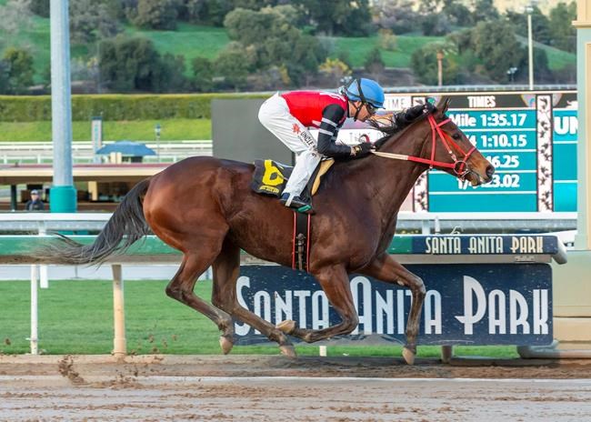 Schnell feeling lucky that Escape Clause not among horses to die a Santa Anita | iNFOnews.ca Schnell feeling lucky that Escape Clause not among horses to die a Santa Anita | iNFOnews.ca