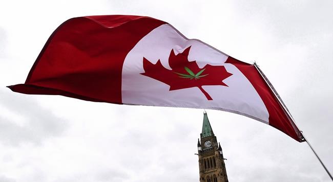 Senate deal to vote on pot bill on June 7 means no actual sales before August | iNFOnews.ca Senate deal to vote on pot bill on June 7 means no actual sales before August | iNFOnews.ca