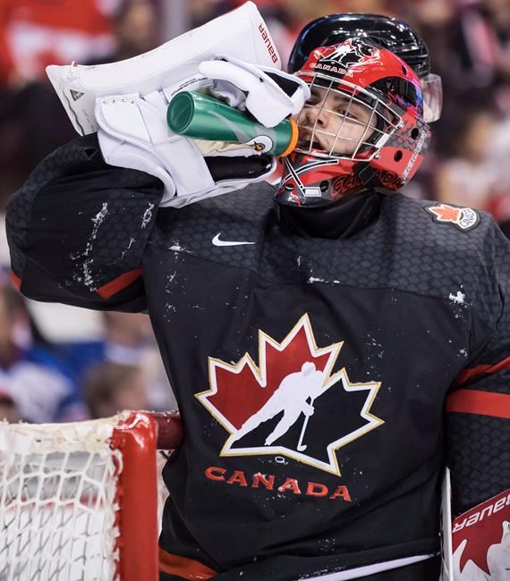 Canucks summon Ottawa 67's goalie Mike DiPietro on 'emergency basis' | iNFOnews.ca