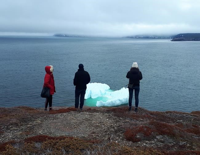 Parks Canada promises to remove offending fence at Signal Hill in St. John's | iNFOnews.ca
