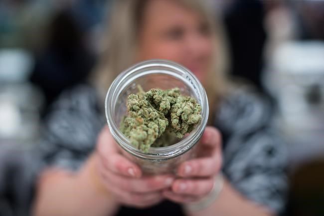 Undisclosed company wins POT stock ticker lottery, says TMX Group | iNFOnews.ca
