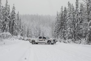 CP1654951410