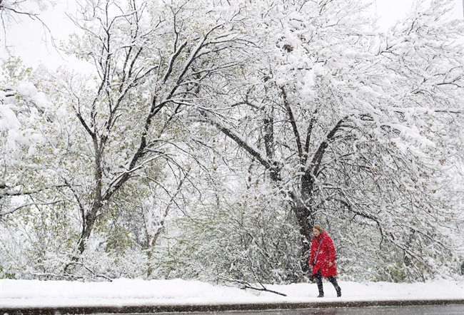 Cold temps cause more premature deaths than heat, international study shows | iNFOnews.ca CP33173832
