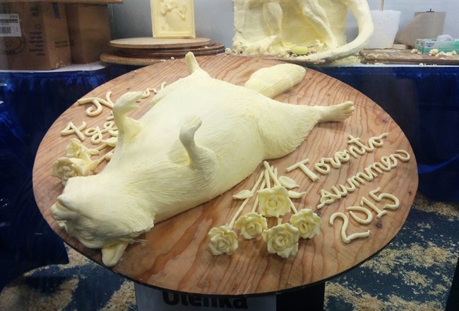 Toronto's favourite dead raccoon now memorialized in butter | iNFOnews.ca CP34451428