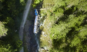 CP24322985