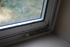 Air leakages from windows can affect comfort of home; check weather stripping | iNFOnews.ca CP28218225