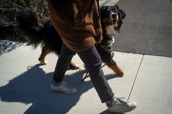 COVID-19 Explainer: Should I keep away from others while walking? Prof says yes | iNFOnews.ca