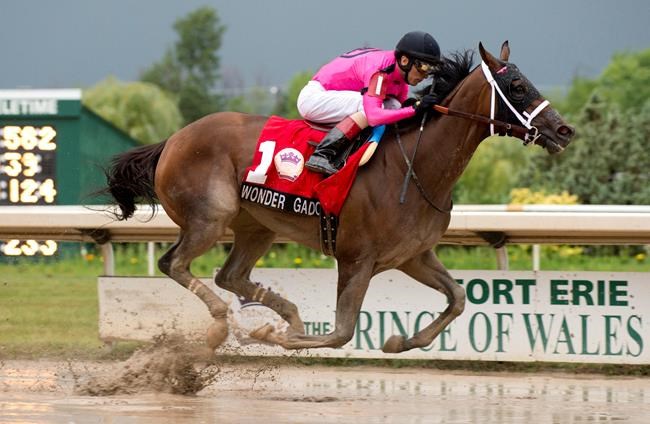 Queen's Plate champion Wonder Gadot captures Prince of Wales race | iNFOnews.ca Queen's Plate champion Wonder Gadot captures Prince of Wales race | iNFOnews.ca