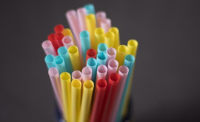 Vancouver may give businesses breathing room on plastic straw, Styrofoam ban | iNFOnews.ca