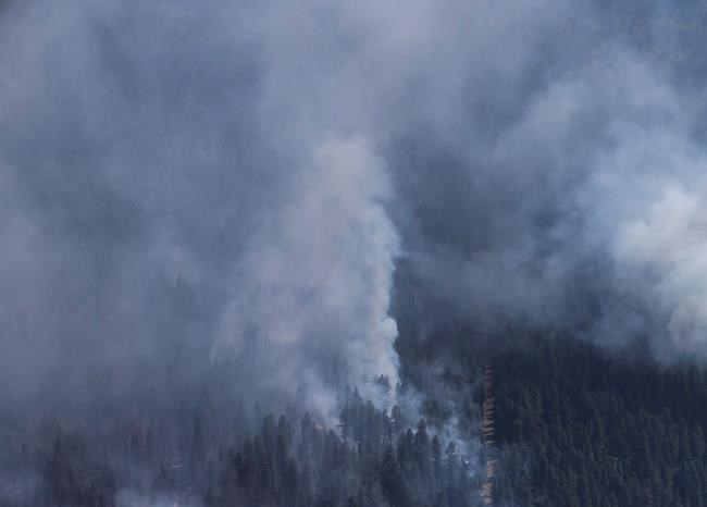Wildfire forces evacuation affecting about 1,100 people east of Kelowna, B.C. | iNFOnews.ca Wildfire forces evacuation affecting about 1,100 people east of Kelowna, B.C. | iNFOnews.ca