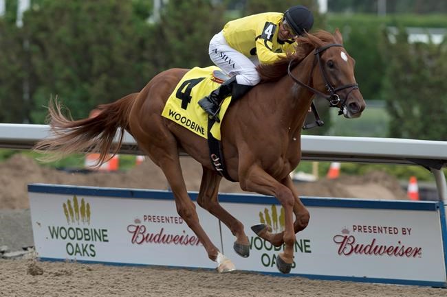 Dixie Moon upsets Wonder Gadot to capture $500,000 Woodbine Oaks race | iNFOnews.ca CP2143056514