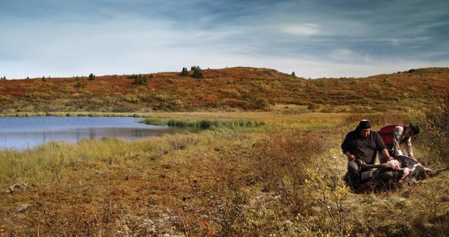'Koneline: our land beautiful' named top Canadian feature at HotDocs festival | iNFOnews.ca CP1701286453