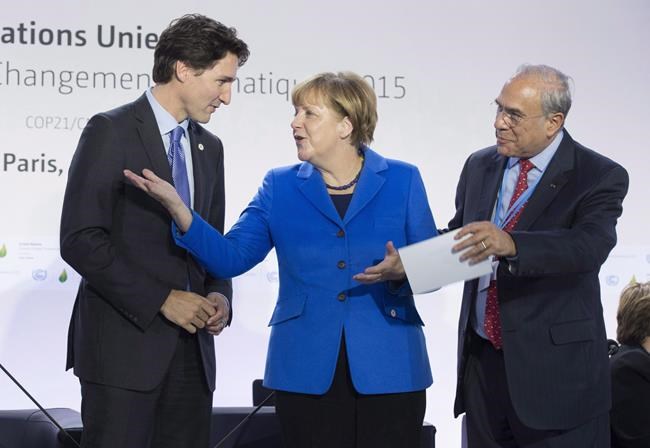 Canada largely successful in managing economic immigration: OECD study | iNFOnews.ca