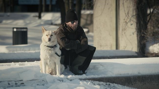 Documentary explores the bond between the homeless and their devoted pets | iNFOnews.ca Documentary explores the bond between the homeless and their devoted pets | iNFOnews.ca
