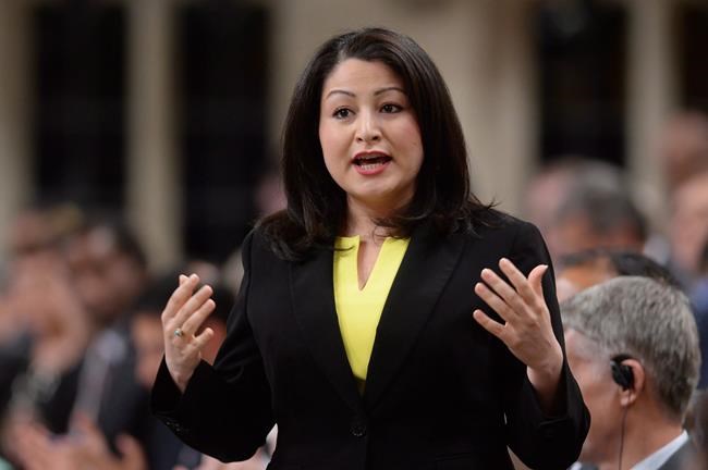 Consultations on new voting system move into high gear, consensus elusive so far | iNFOnews.ca