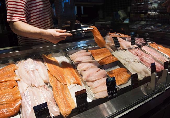 'Widespread' seafood mislabelling at retailers, restaurants, study finds | iNFOnews.ca