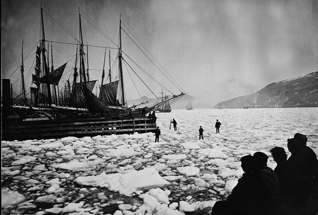 DNA quirk could reveal mysteries of Newfoundland's first settlers | iNFOnews.ca DNA quirk could reveal mysteries of Newfoundland's first settlers | iNFOnews.ca
