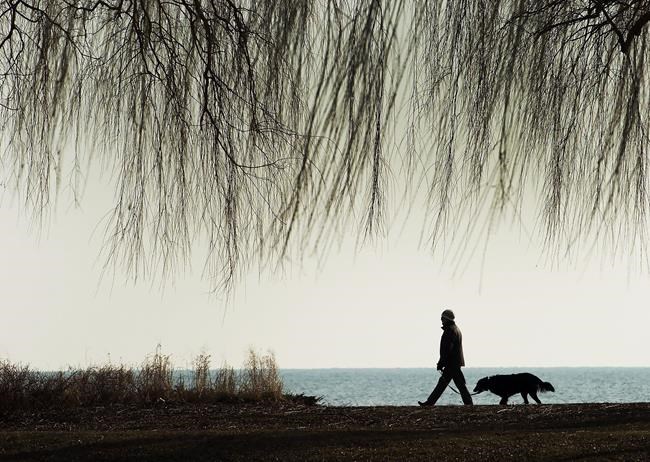 Dog owners have reduced risk of dying from heart problems, says researcher | iNFOnews.ca CP2055254815