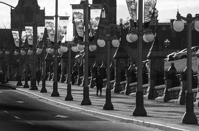 Remembrance Day and Don Cherry's poppy rant; In-The-News for Nov. 11 | iNFOnews.ca Remembrance Day and Don Cherry's poppy rant; In-The-News for Nov. 11 | iNFOnews.ca