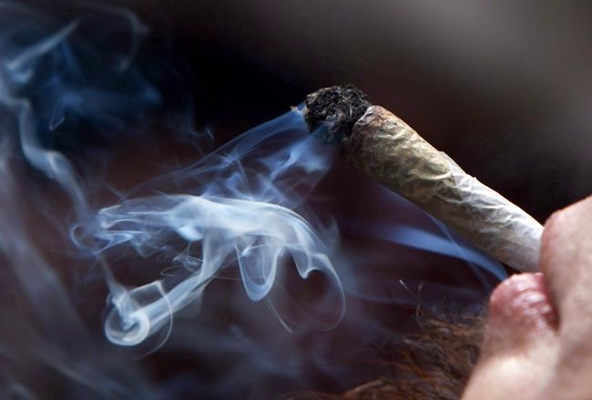 Parents prep for realities of legalized marijuana | iNFOnews.ca