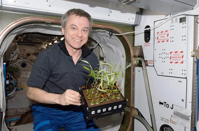 Retired Canadian astronauts weigh in on gruelling recruitment process | iNFOnews.ca