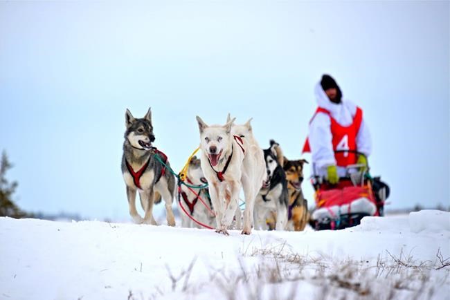 Man begins dog sled journey across Canada:'We're going to face some adversities' | iNFOnews.ca Man begins dog sled journey across Canada:'We're going to face some adversities' | iNFOnews.ca