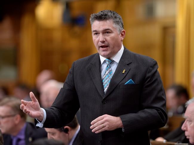 Baloney Meter: Tories dish out 'a lot of baloney' on Mali peacekeeping mission | iNFOnews.ca Baloney Meter: Tories dish out 'a lot of baloney' on Mali peacekeeping mission | iNFOnews.ca