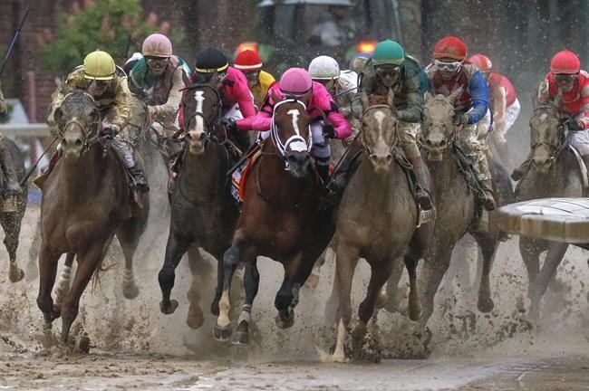 Alberta court hears details of fight over disqualified horse in Canadian Derby | iNFOnews.ca