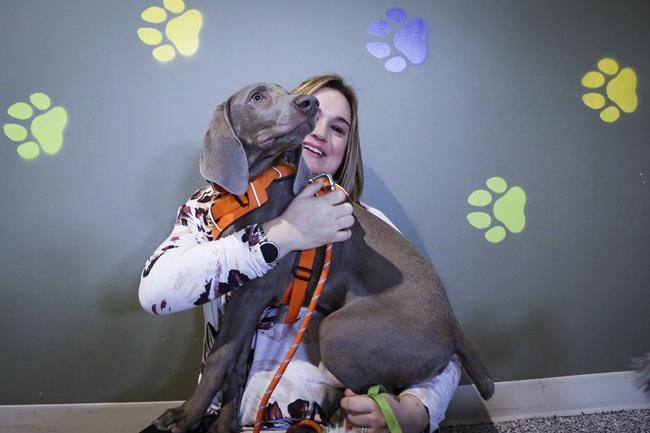 Canadians urged to include pets in their COVID-19 emergency plans | iNFOnews.ca CP1903794857