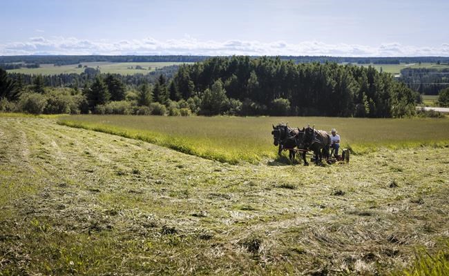 Farmers look to capture carbon as warnings of climate shocks grow louder | iNFOnews.ca CP987829510