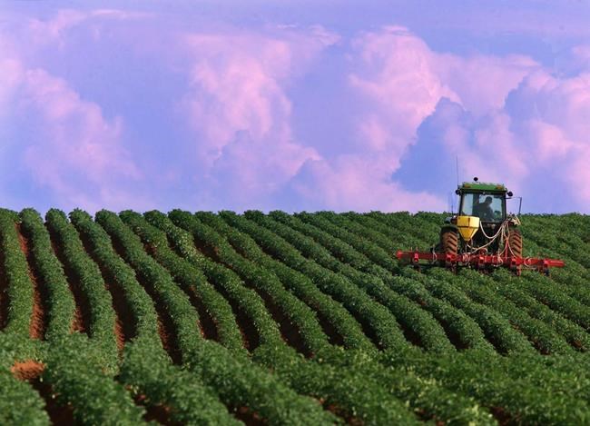 Agriculture could add $11B a year to Canada's GDP by 2030, report finds | iNFOnews.ca