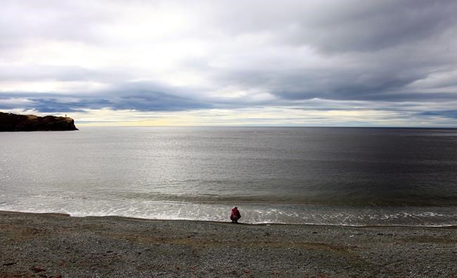 Climate change shifting protected marine ecosystems outside conservation areas | iNFOnews.ca CP681617802