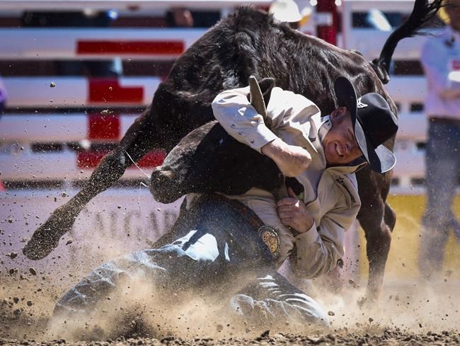 Stampede scorcher: temperatures to soar above 30 as festival kicks off | iNFOnews.ca
