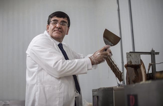 Syrian chocolatier to hire, mentor refugees: 'They come here to contribute' | iNFOnews.ca Syrian chocolatier to hire, mentor refugees: 'They come here to contribute' | iNFOnews.ca