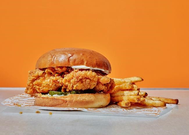 Popeyes pilots chicken sandwich in Edmonton despite COVID-19 pandemic | iNFOnews.ca